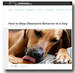 Cuteness: How to Stop Obsessive Behavior in a Dog