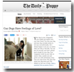 The Daily Puppy: Can Dogs Have Feelings of Love?