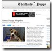 The Daily Puppy: About Puppy Adoption