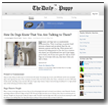 The Daily Puppy: How Do Dogs know That You Are Talking to Them?